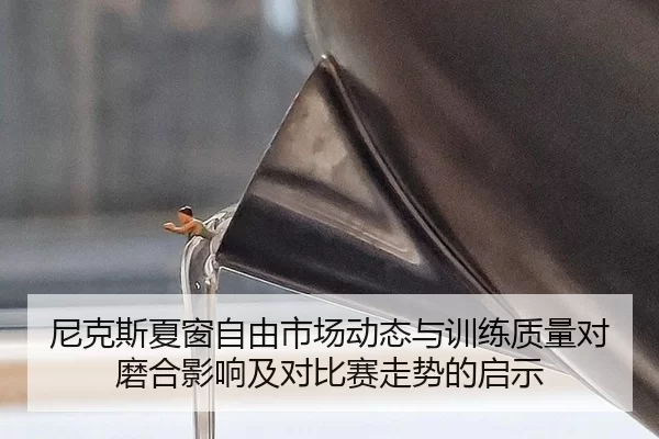 尼克斯夏窗自由市场动态与训练质量对磨合影响及对比赛走势的启示