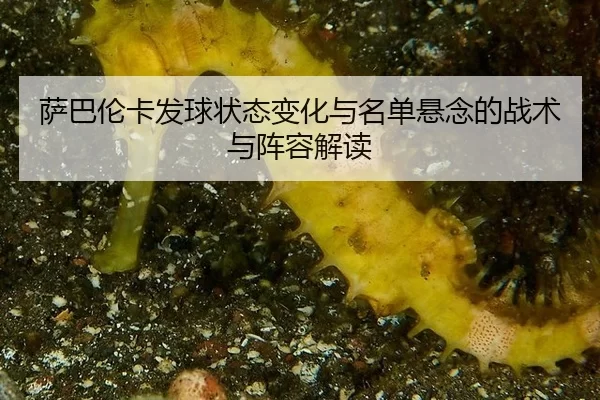 sa-ba-lun-ka-fa-qiu-zhuang-tai-bian-hua-yu-ming-dan-xuan-nian-de-zhan-shu-yu-zhen-rong-jie-du-2-441.jpg